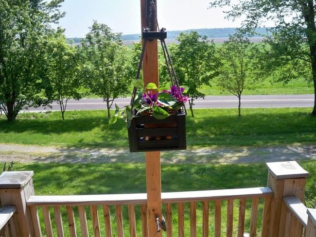 Dark Green Wooden Crate Planter