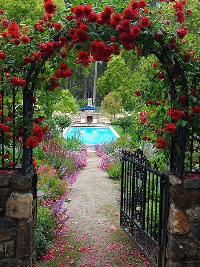 Crimson Roses Iron Archway