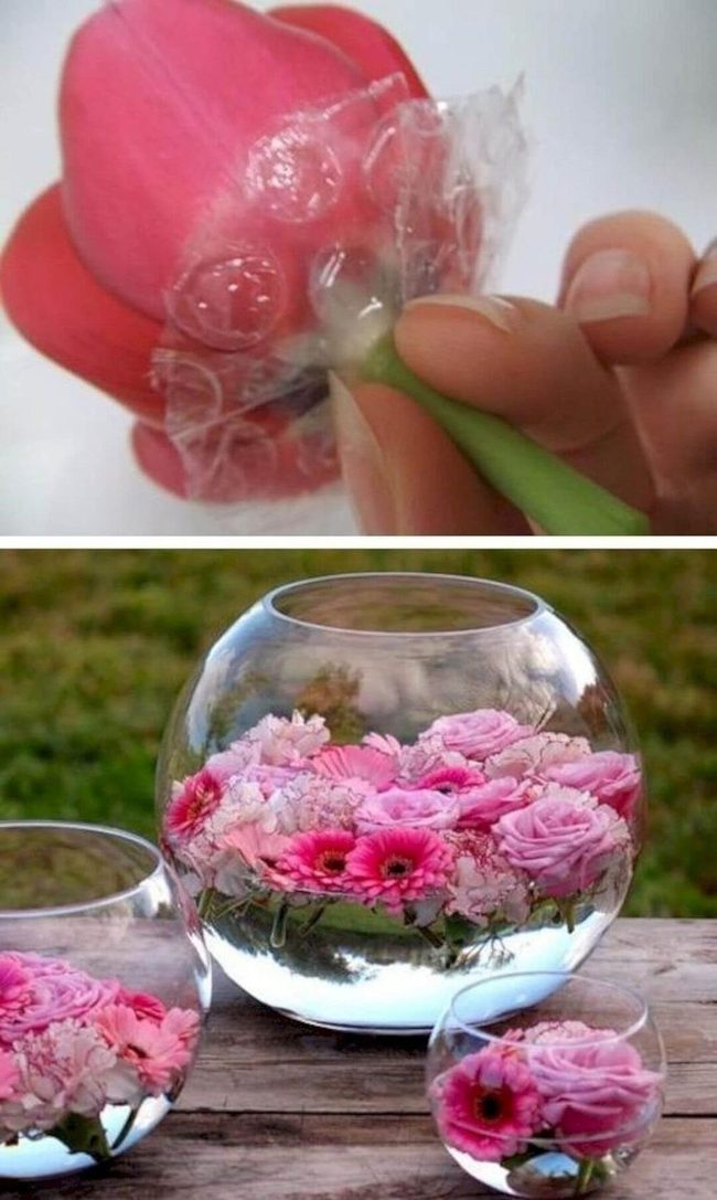 Pink Flowers Floating In Clear Water