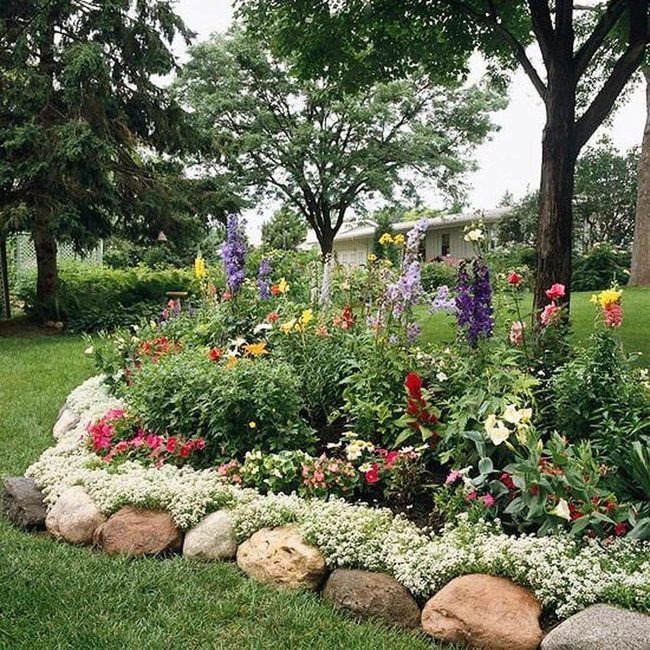 Layered Blooms With Textured Rocks