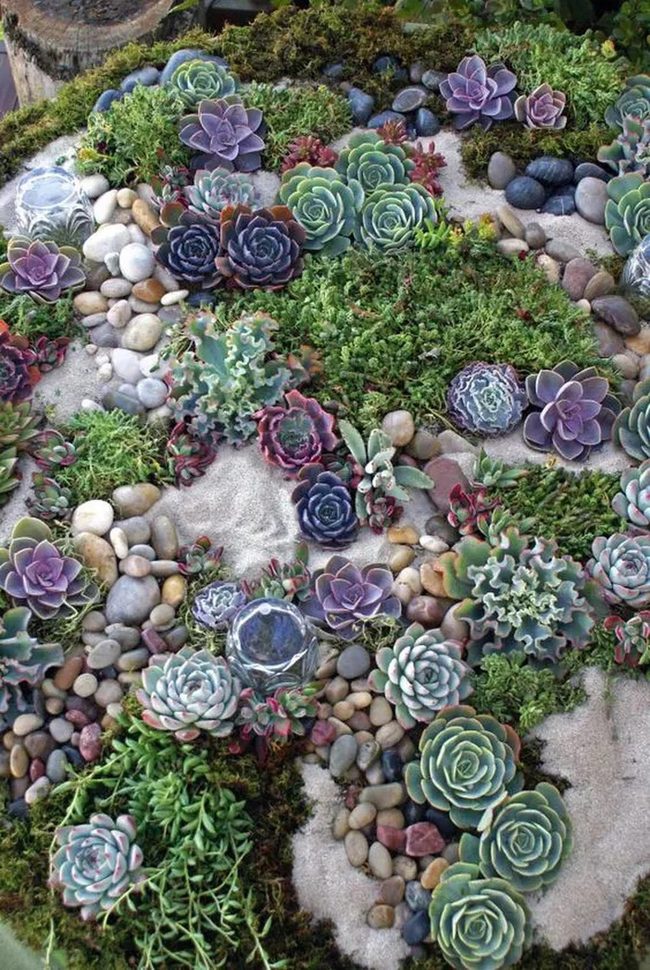 Glass Orbs Among Soft Succulents