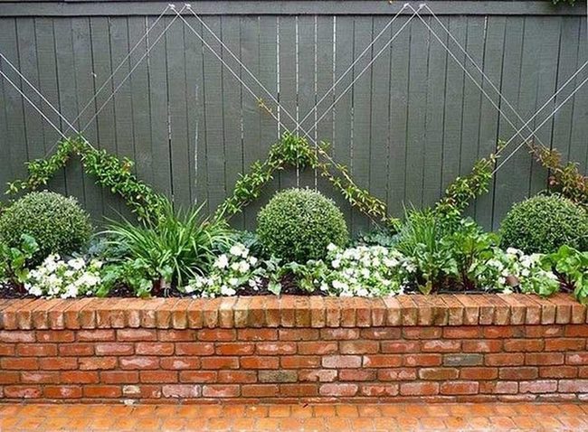 Geometric String Trellises, Living Garden Art