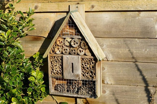 Golden Pollinators Wooden Shelter