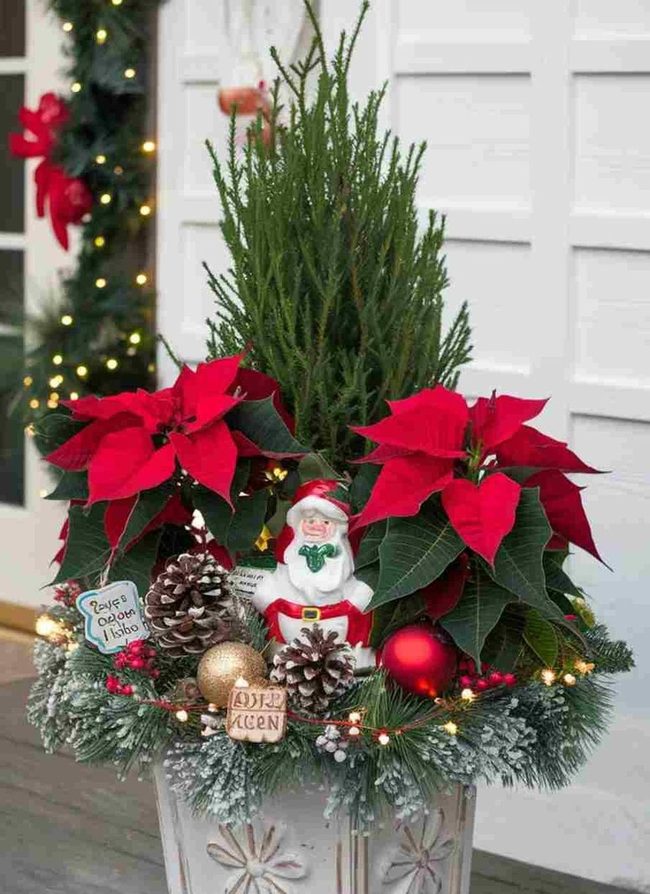 Red Poinsettia Winter Planters