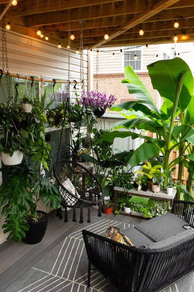 Ceramic Pots Tropical Boho Oasis