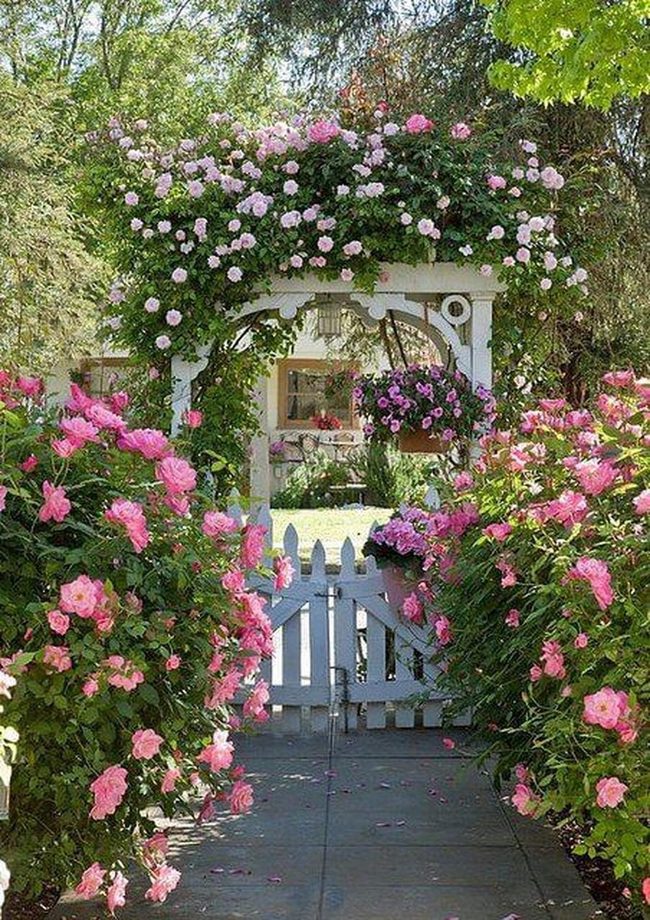 Pink Roses White Archway Gate