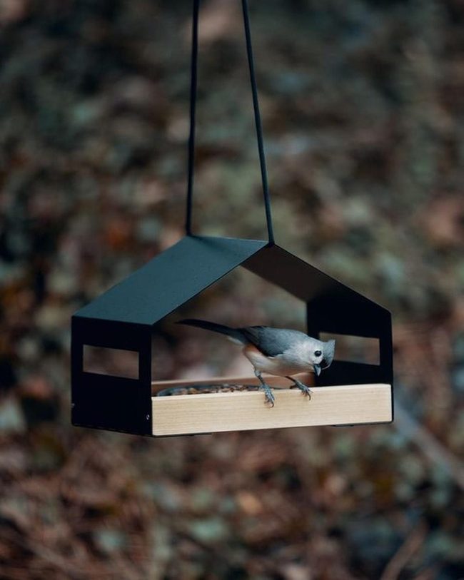 Wooden Bird Feeders, Natural Earth Tones