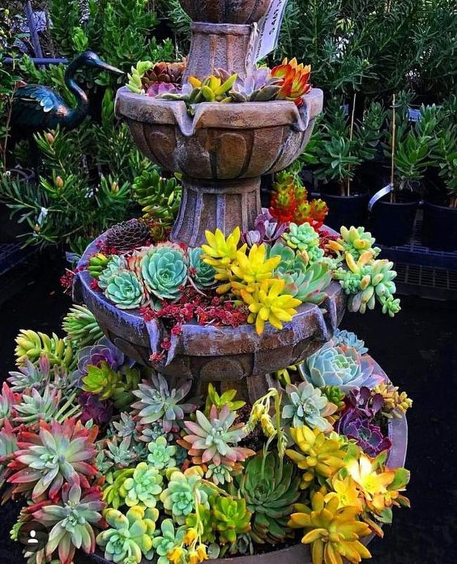 Tiered Stone Garden With Cascading Succulents