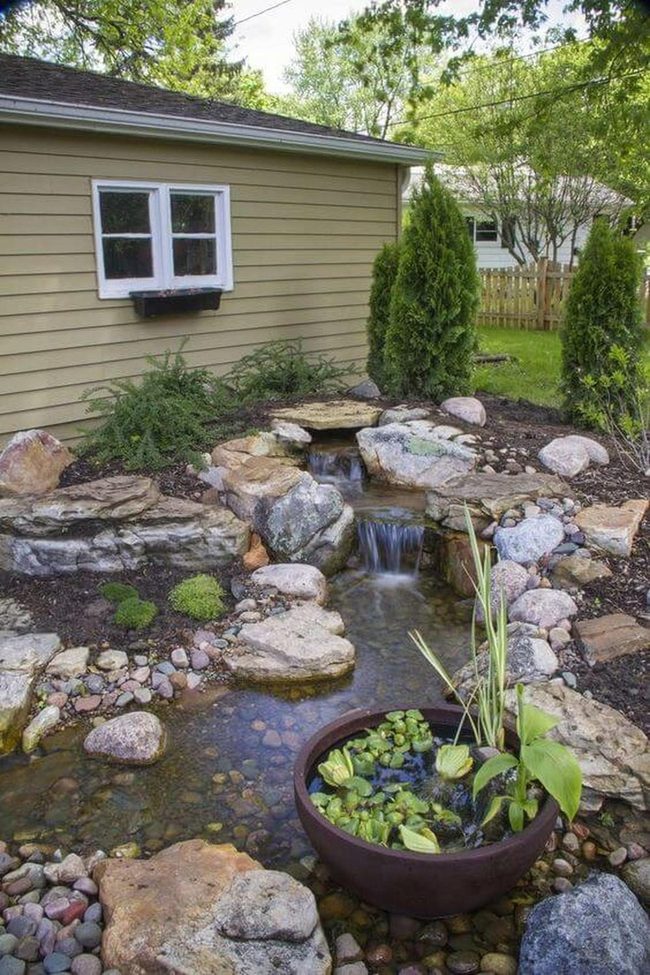 Stone Pathways Through Flowing Water