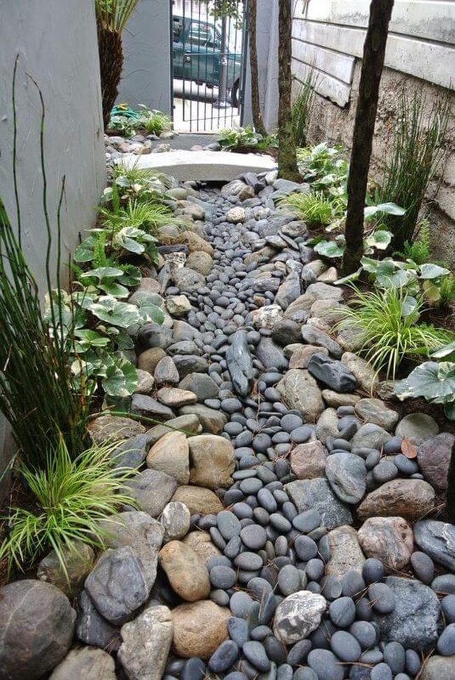 Stone Path Through Tall Grass