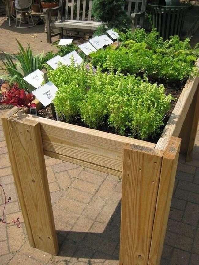 Wooden Garden Beds With Plant Labels