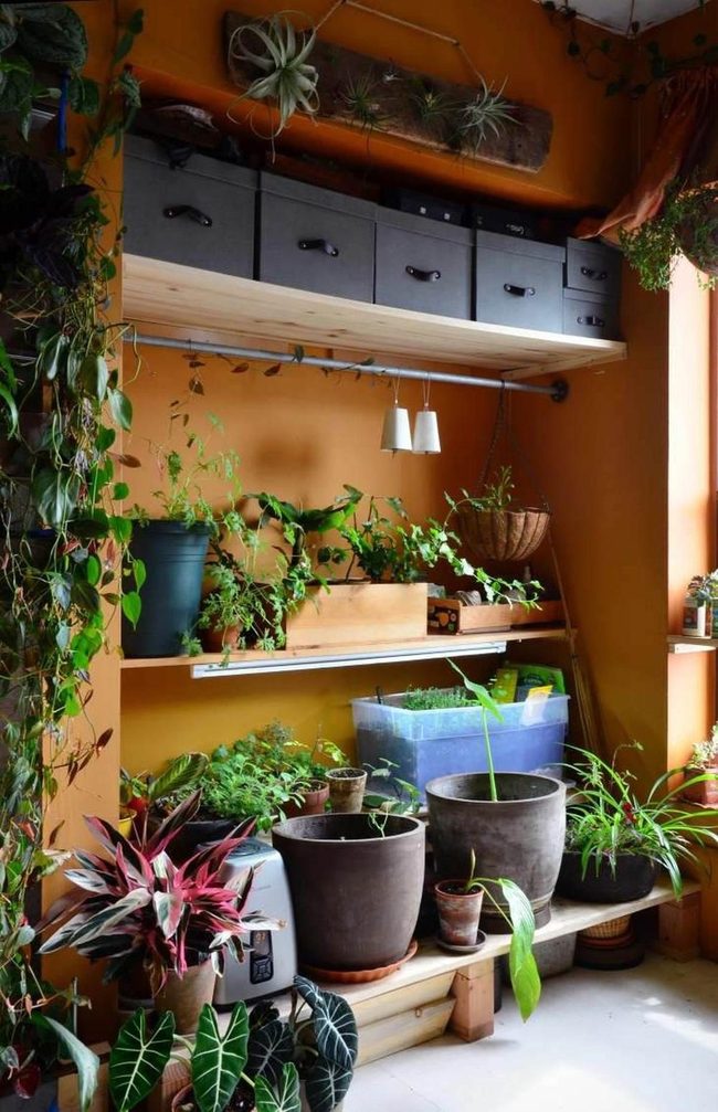 Green Walls, Endless Possibilities