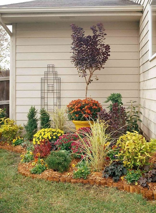 Layered Shrubs And Blooming Flowers