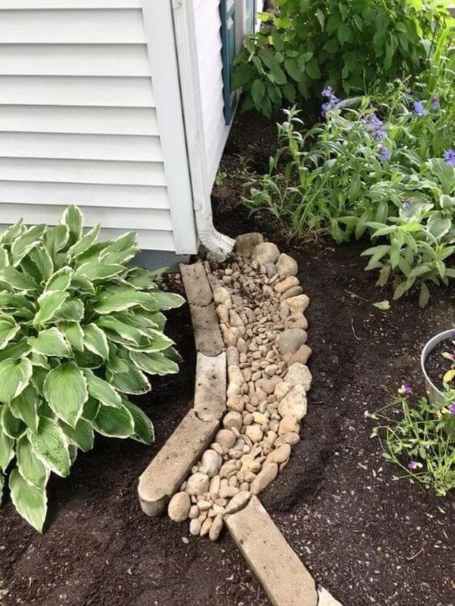 Stone Pathway Through Flowering Garden