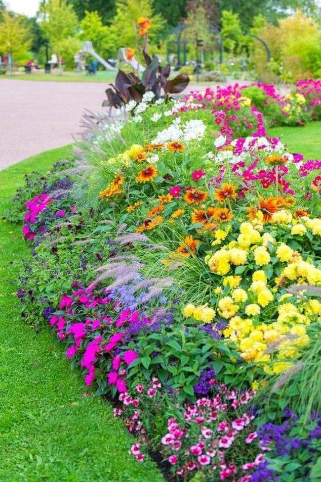 Red Gold Purple Flower Garden