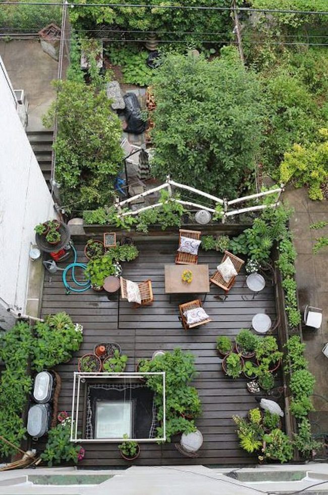 Vertical Garden Dining Oasis