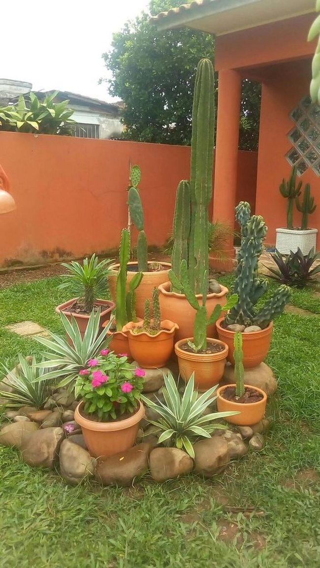 Stone Potted Garden Freedom