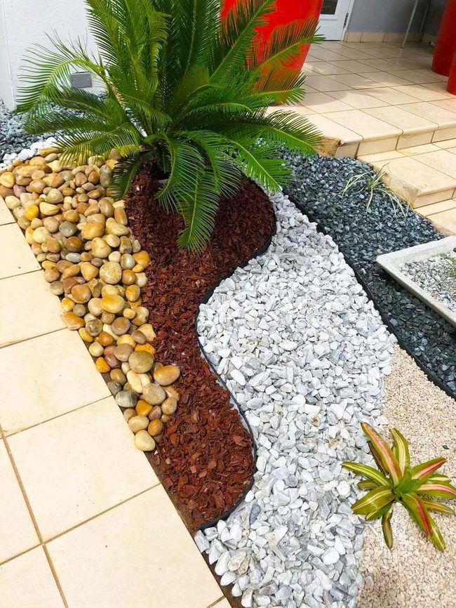Green Palm Over Textured Earth