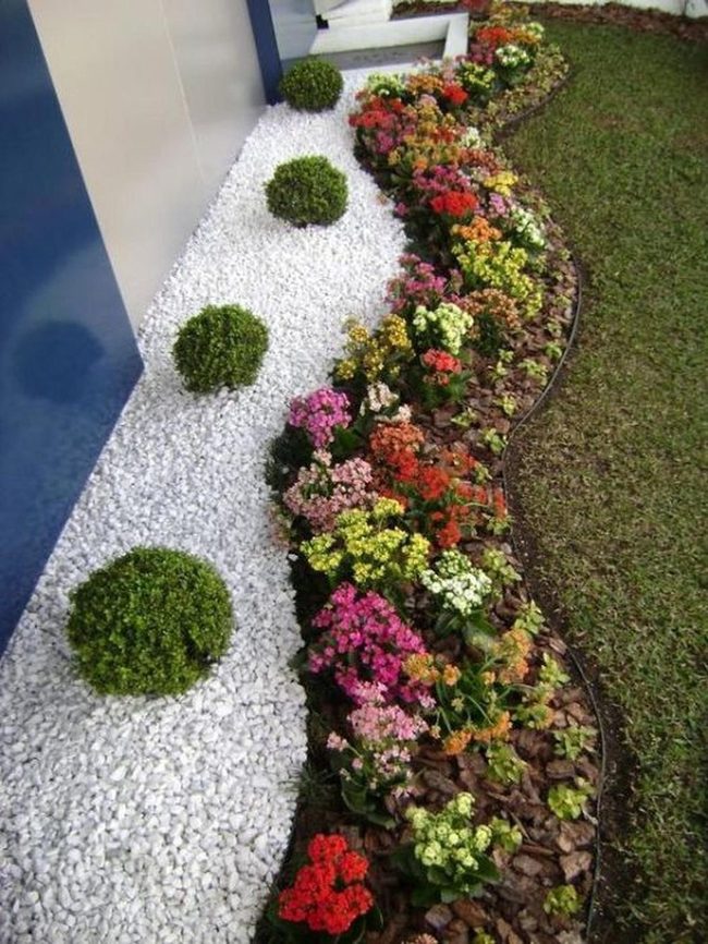 Curved Beds Blooming With Contrast