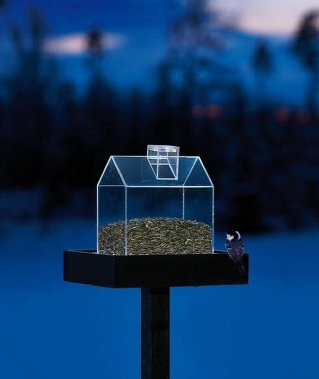Clear Wood Bird Feeder Station