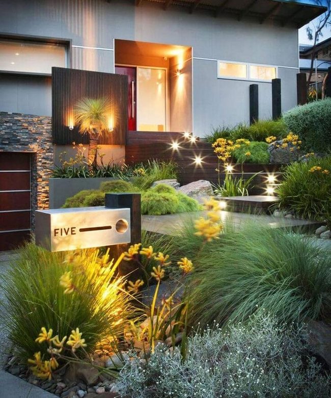 Rounded Desert Plants Meet Modern Lines
