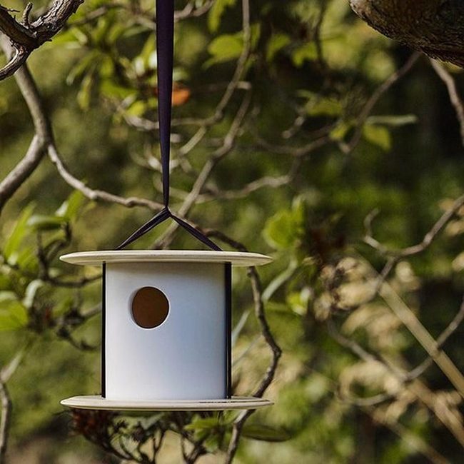 White Birdhouses Nestled In Green