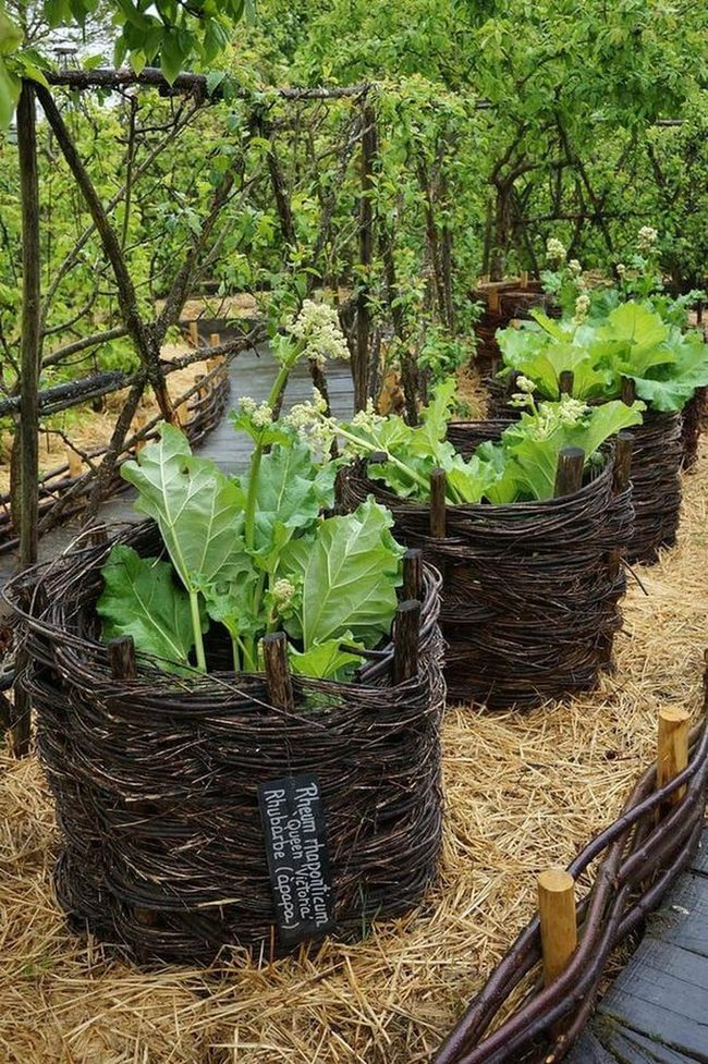 Woven Wood Garden Trellis