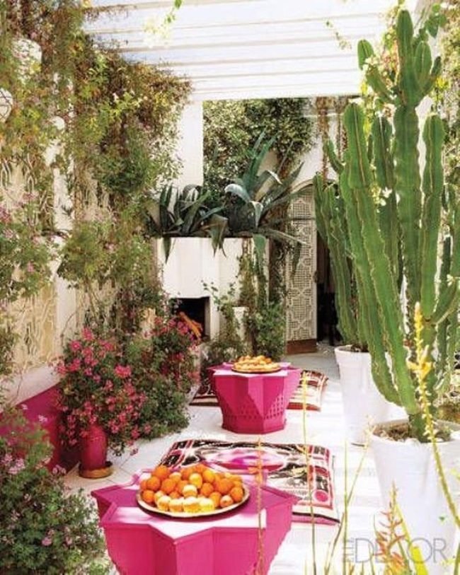 Pink Tables Green Cacti Paradise