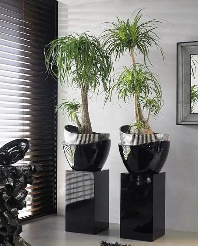 Sculptural Palms On Metallic Stands