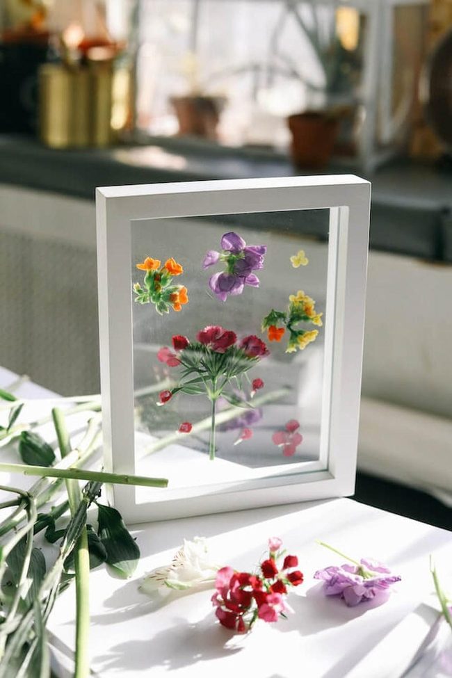 Pressed Flowers Behind Clear Glass