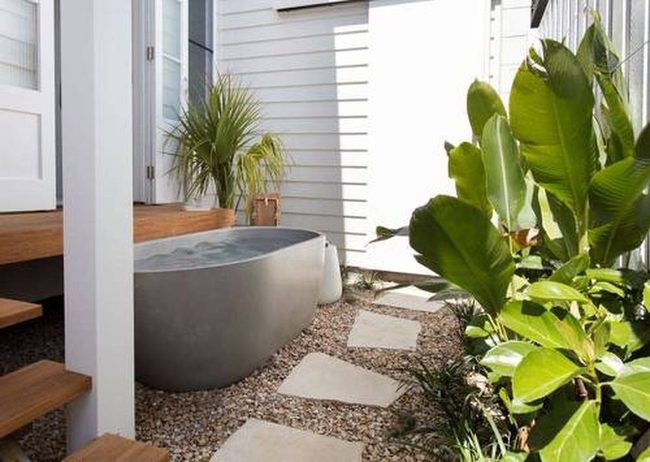 Bamboo Screens And Tropical Green Privacy