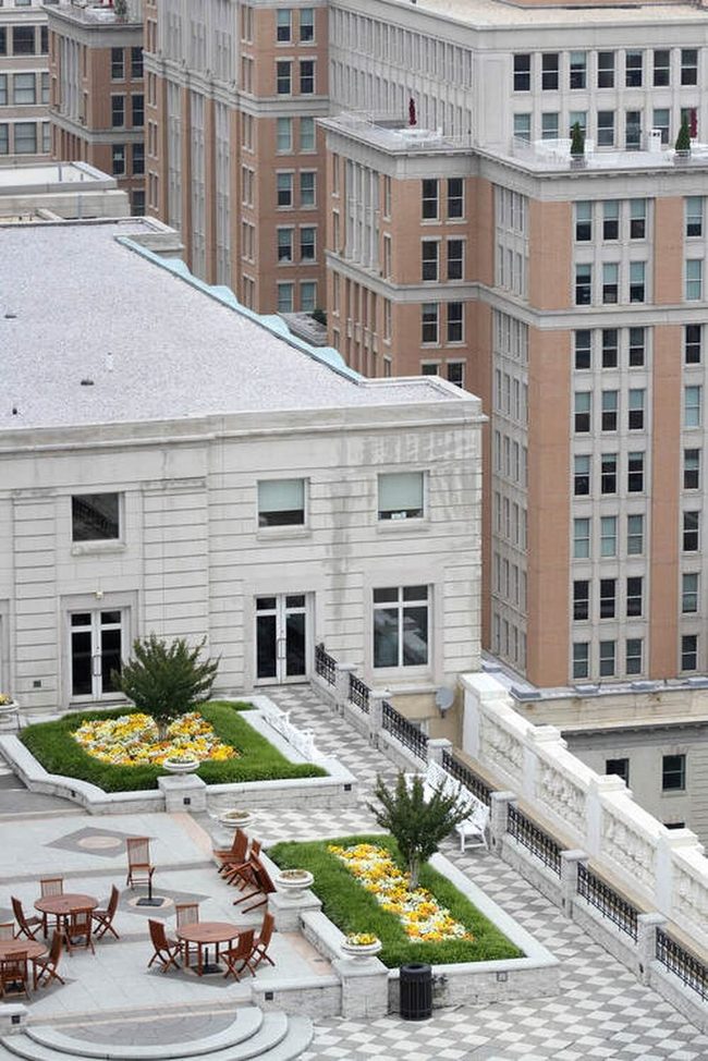 Rooftop Flowers High Above City
