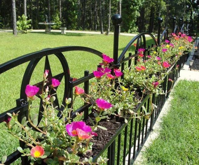 Hanging Flowers Frame Iron Fences