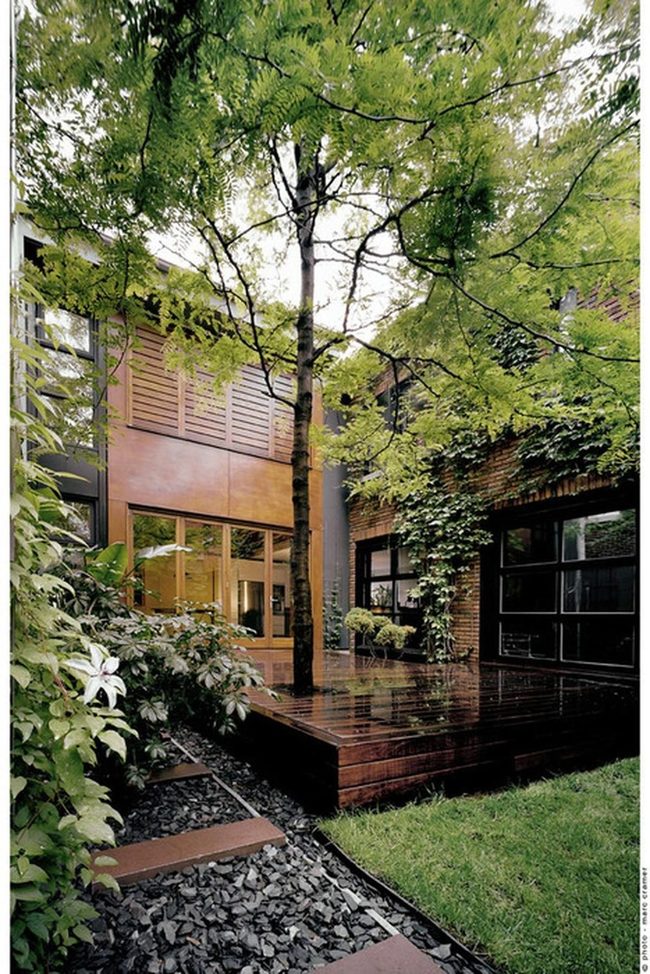 Stone Path Through Living Wood