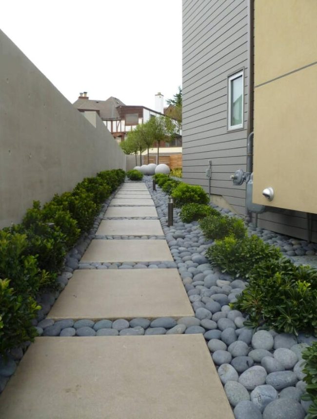 Stone Path Through Green Walls