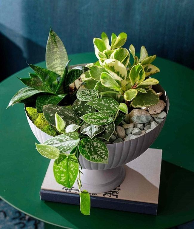 Three Green Textures, Zero Fuss