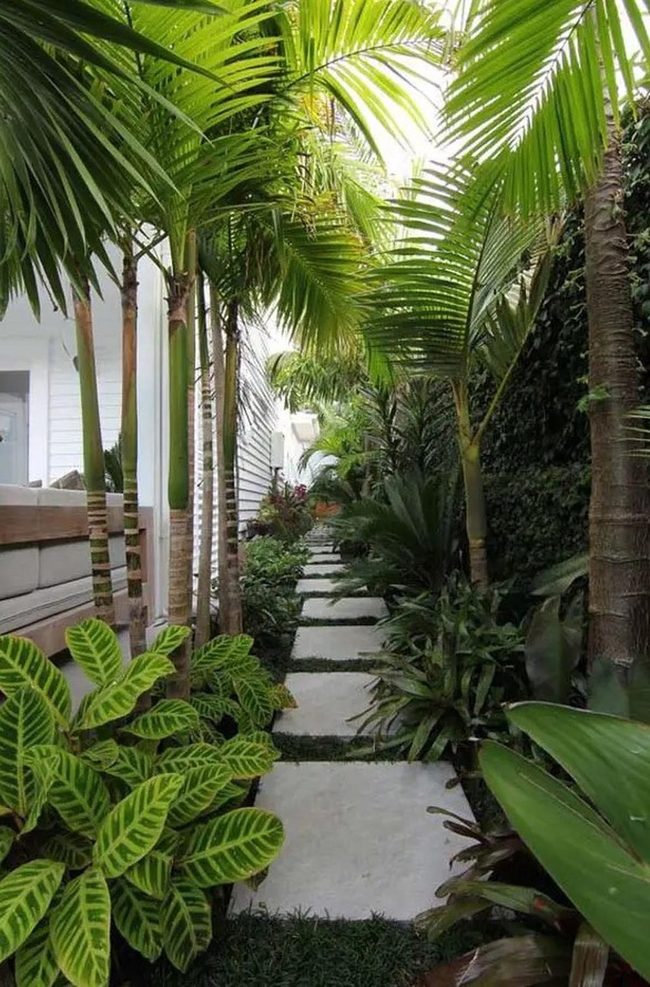 Tropical Stone Path Garden Retreat
