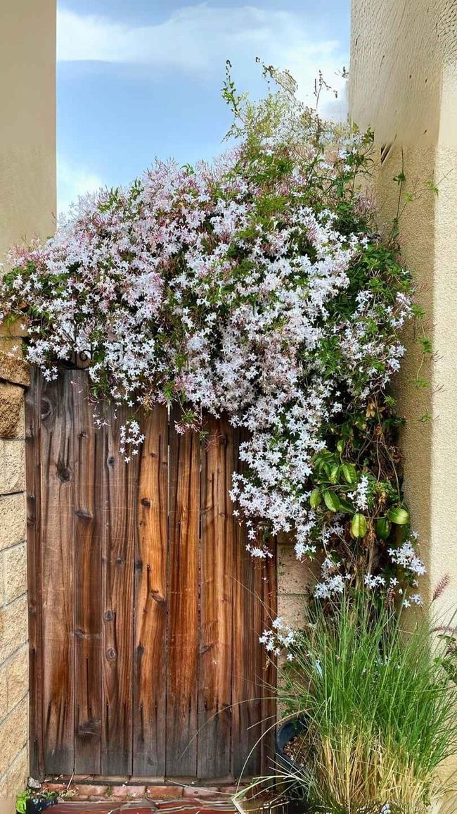 Secret Landscape Gate Moment
