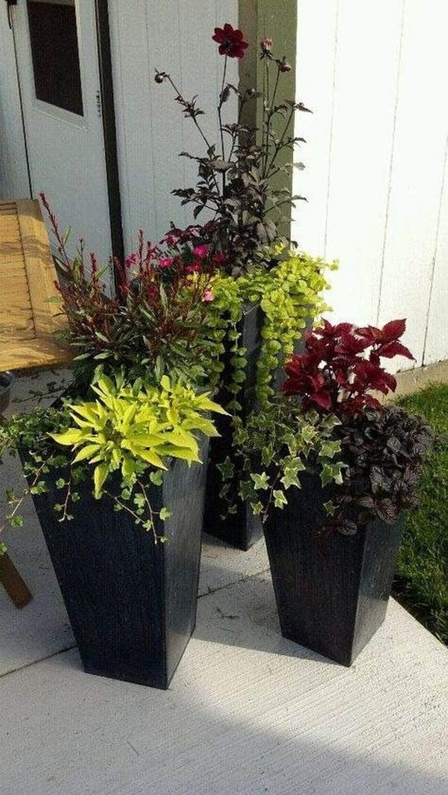Vertical Greenery Welcomes Home