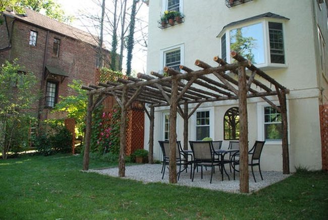 Natural Wood Branch Canopy