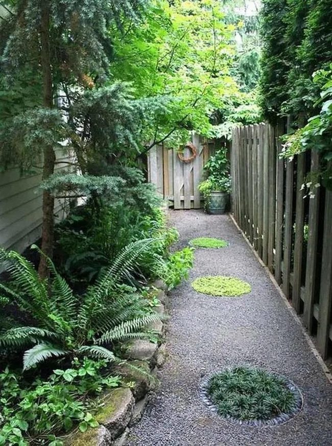 Green Ferns Frame Gravel Passage