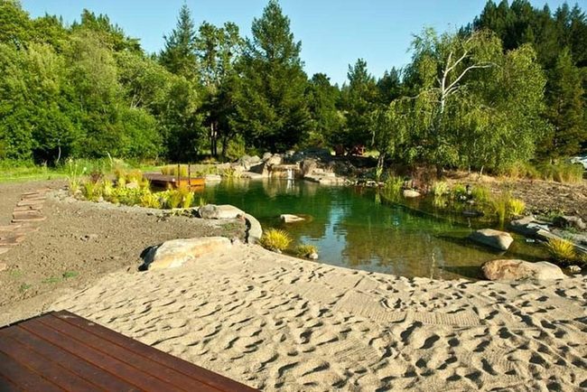 Backyard Pond-Style Swimming Pools
