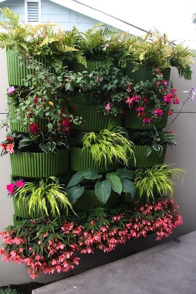 Cascading Vines Cover Bare Walls