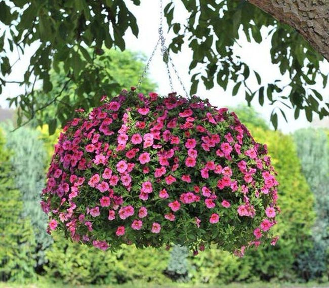 Cascading Flowers Waterfall Balcony Display