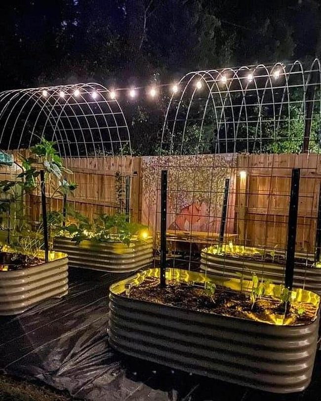 Metal Raised Beds With Evening Light