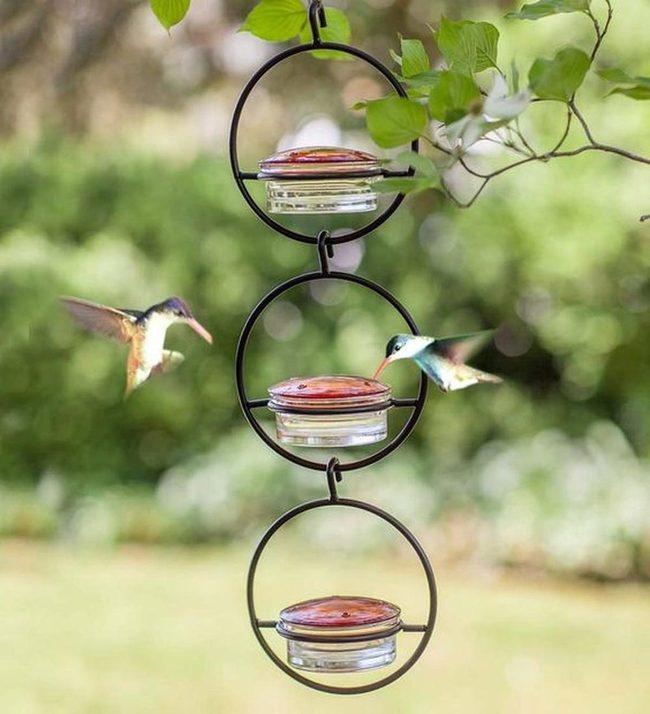 Tiny Birds Blur Red Feeders