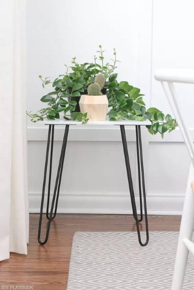 Glass Table With Cascading Green Plants