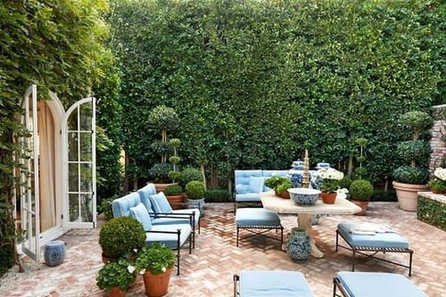 Living Walls Of Lush Green