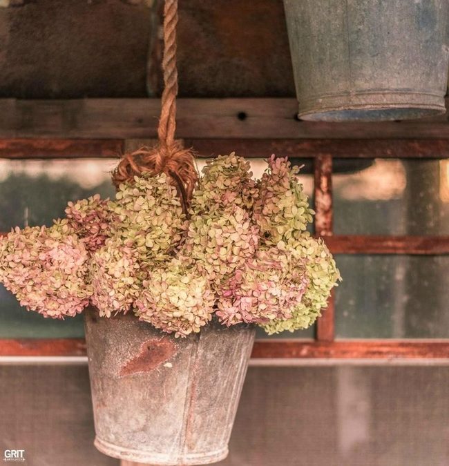 Weathered Pulley Rope Plant Hanger