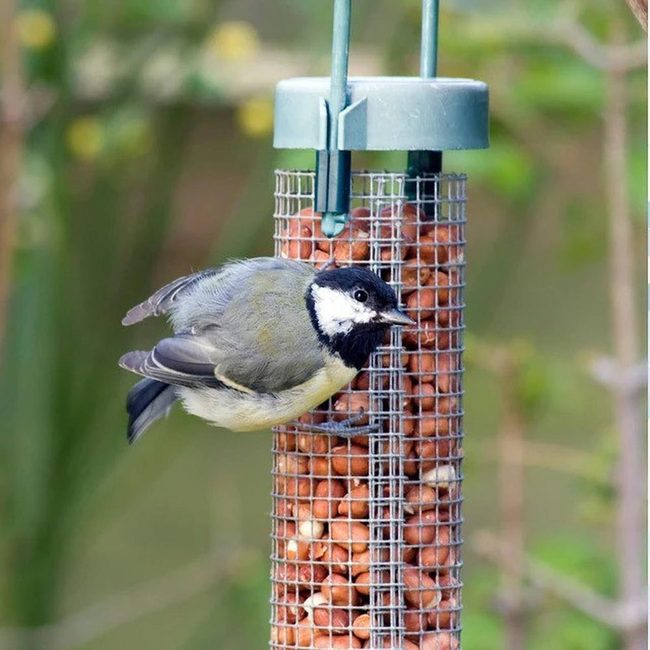 Industrial Metal Mesh Peanut Feeder